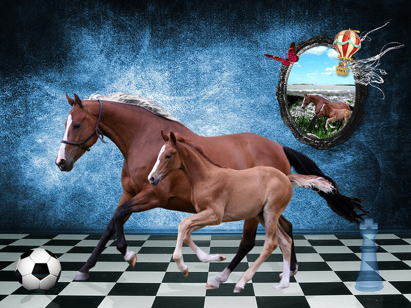 Horses on a checkered floor