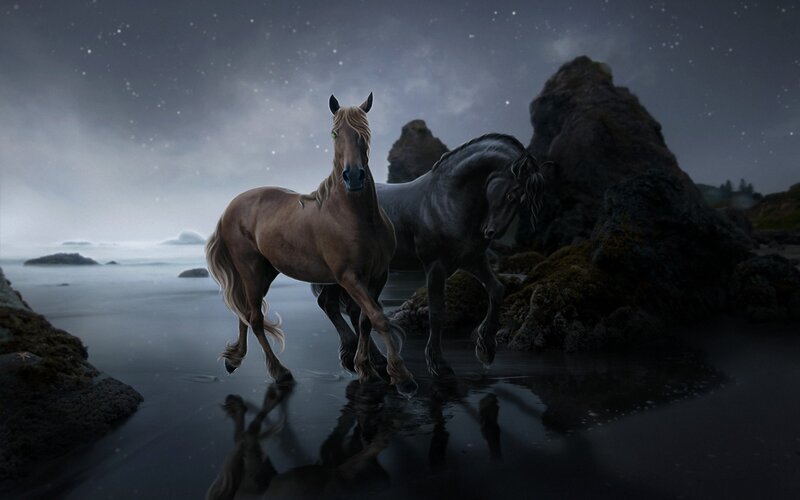 Horses on a moonlit beach