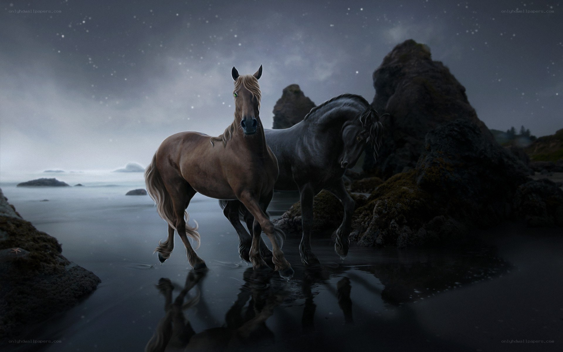 Horses on a moonlit beach