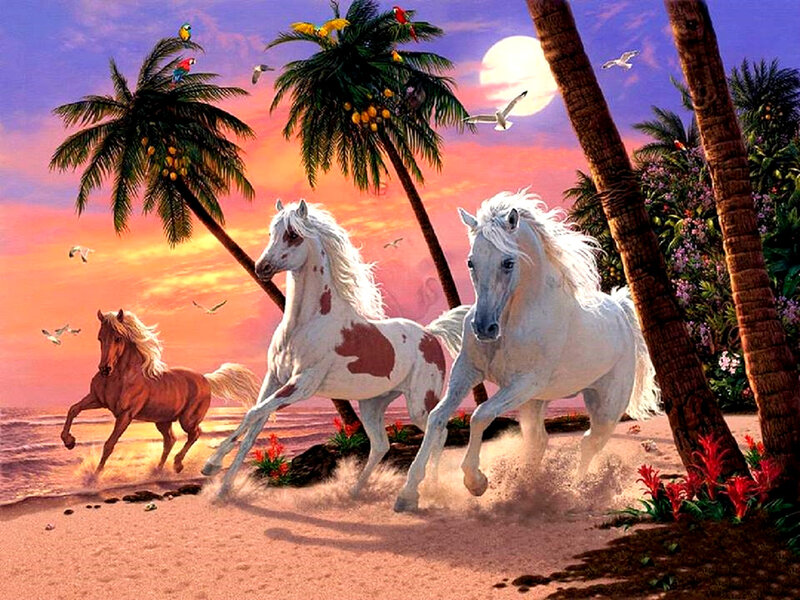 Horses on Beach