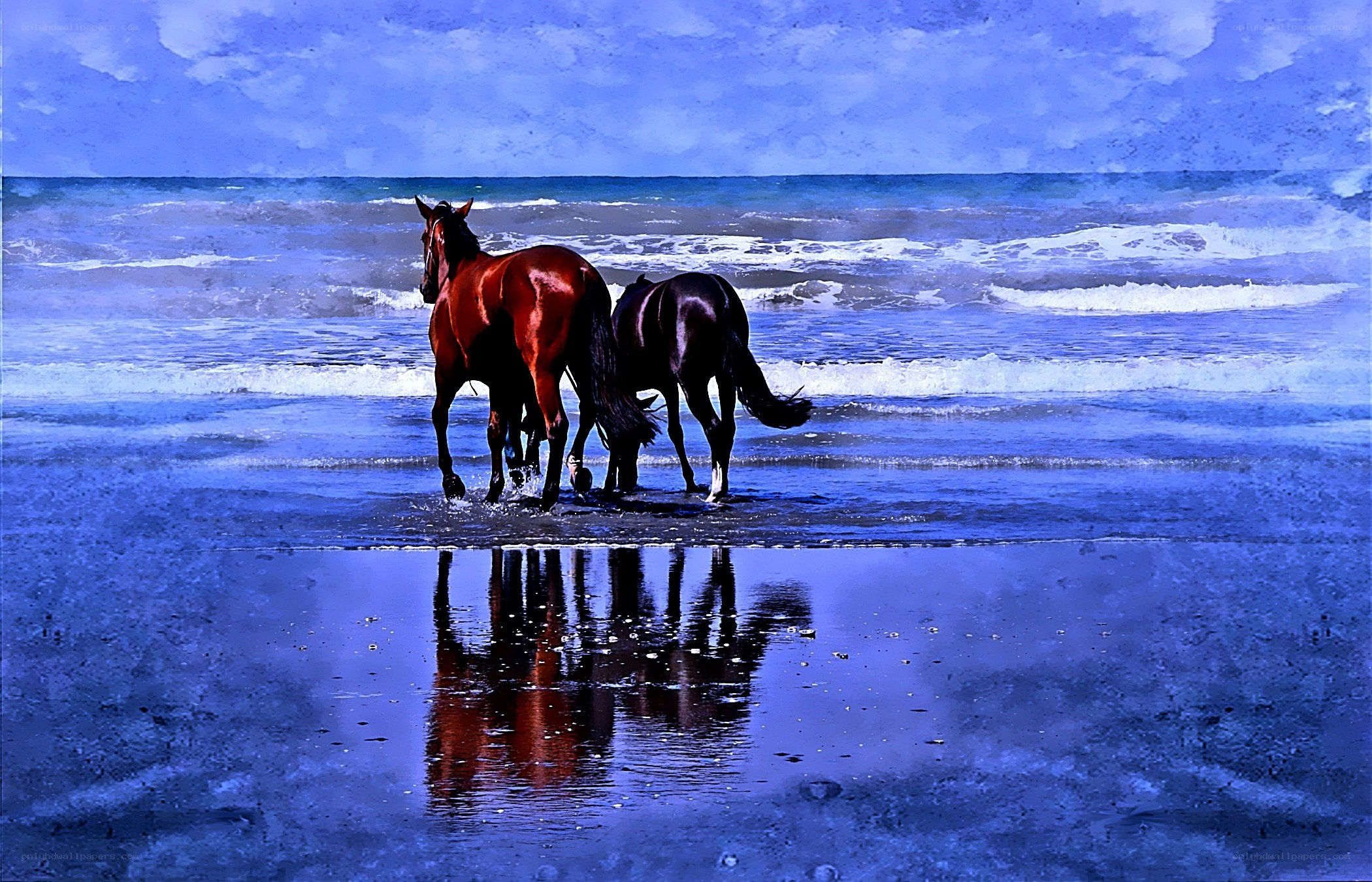 Horses on the beach at sunset