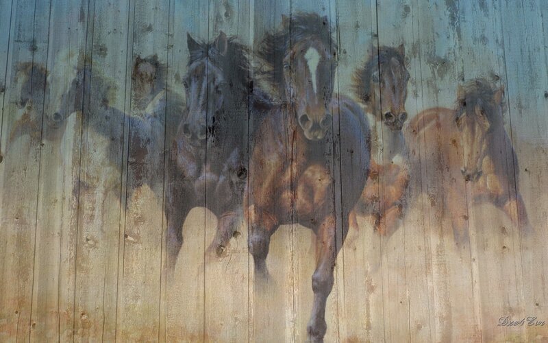 Horses painted on a wooden wall