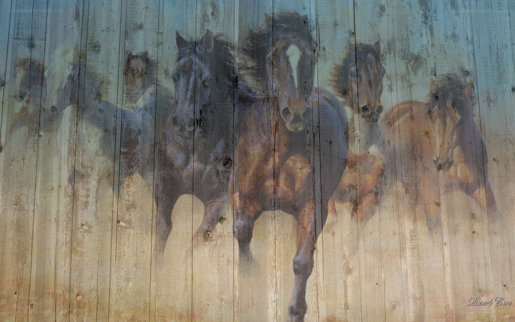 Horses painted on a wooden wall