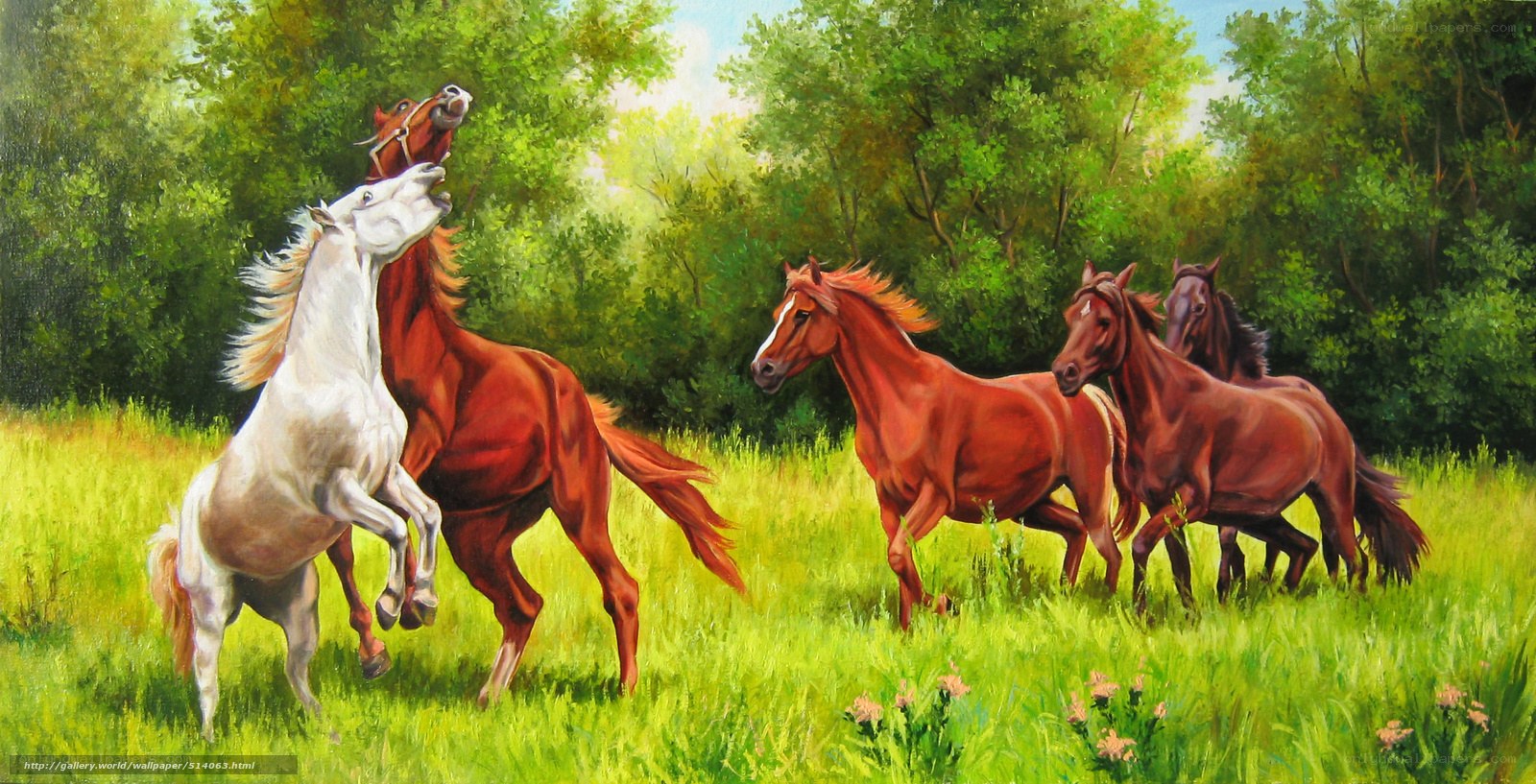 Horses playing in a meadow