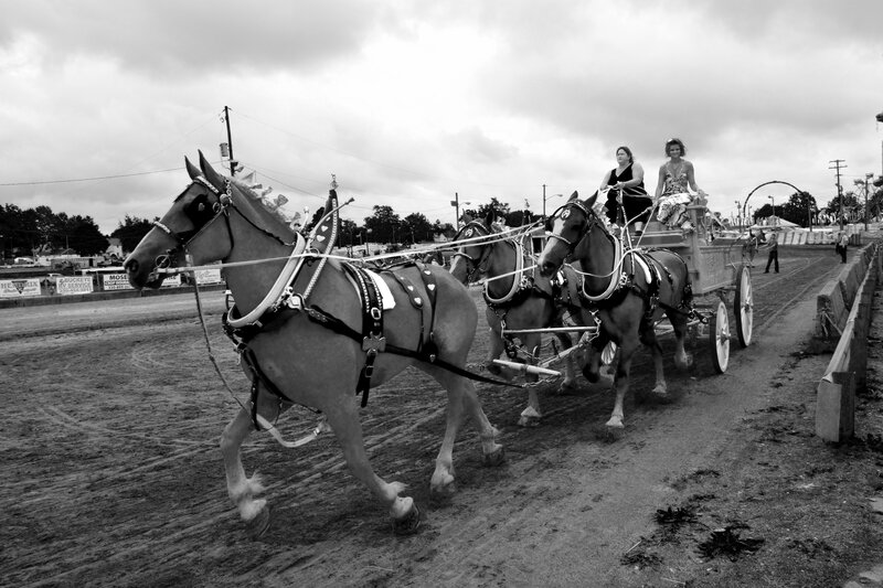 Horses Pulling a Carriage — Black, Documentary