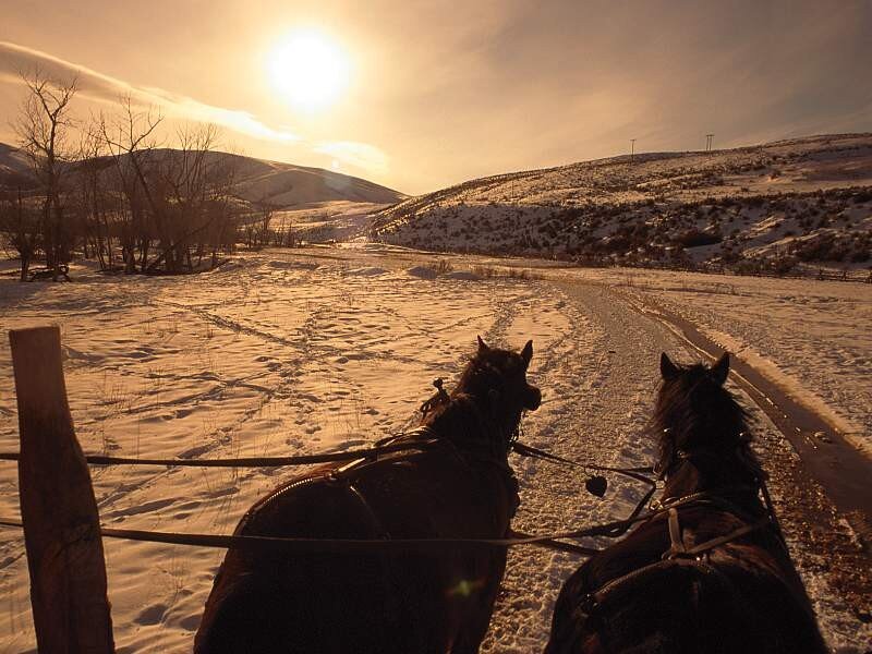 Horses pulling a sleigh at sunset