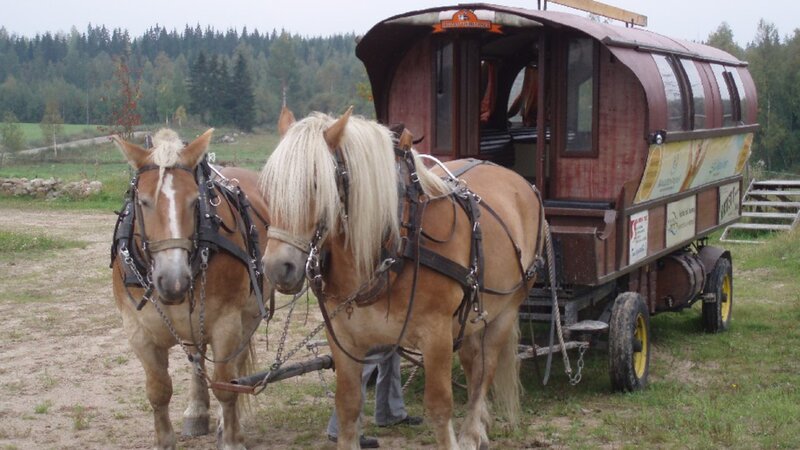 Horses Pulling a Wagon