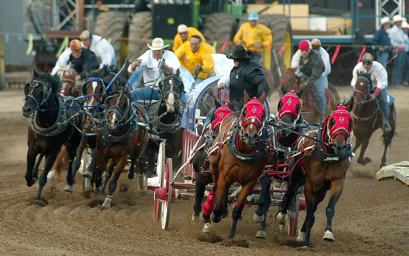 Horses Pulling Carts