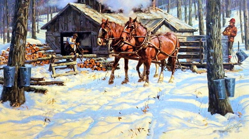 Horses Pulling Sled — White, Cold
