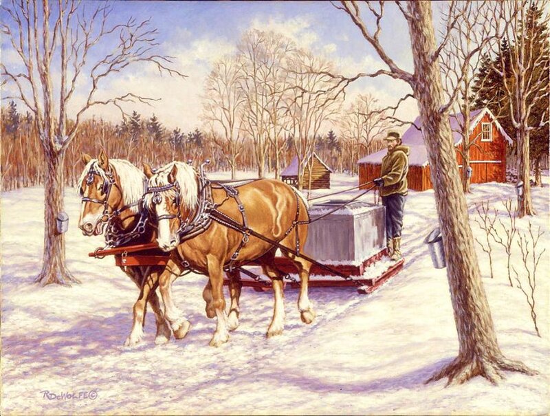 Horses Pulling Sled — White, Serene
