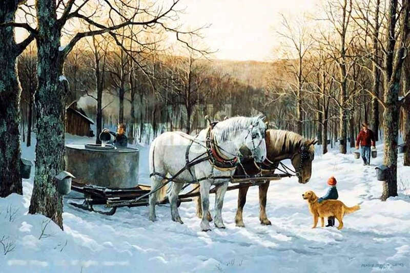 Horses Pulling Sled — White, Serene, Winter