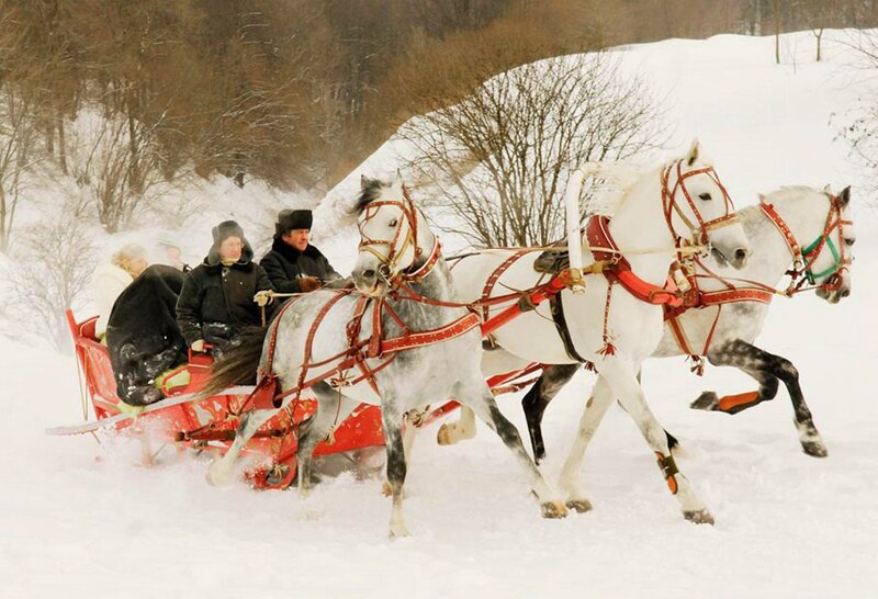 Horses Pulling Sleigh — White, Active