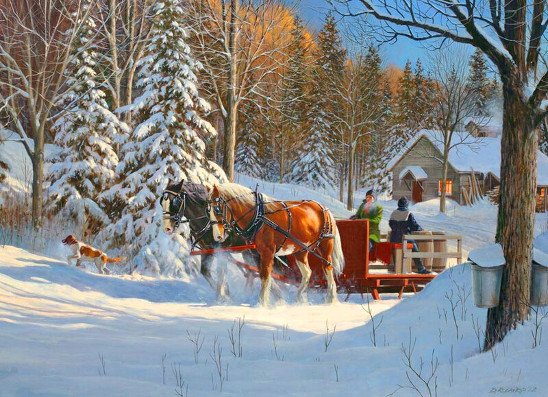 Horses Pulling Sleigh — White, Peaceful, Winter