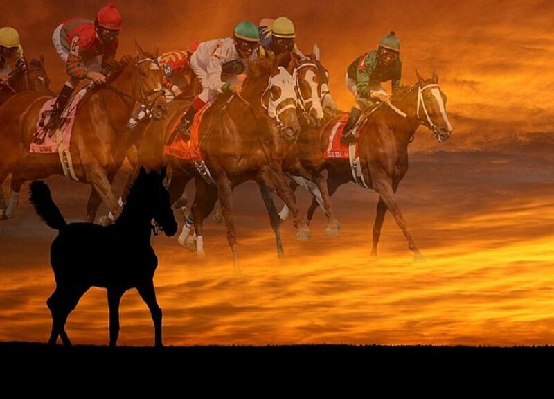 horses racing at sunset