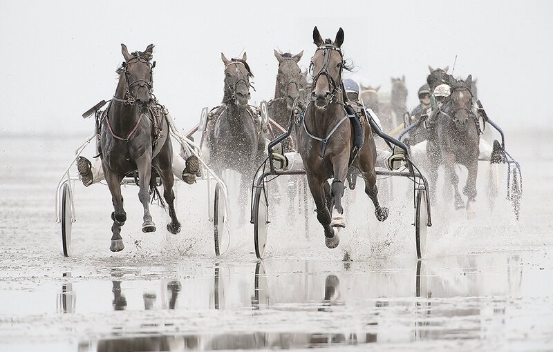 Horses Racing in Carts