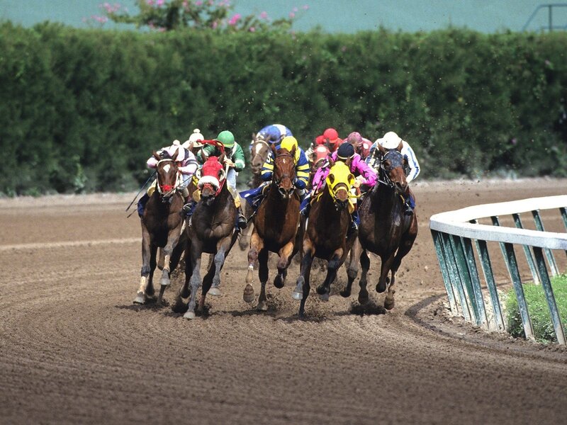 Horses racing on a dirt track
