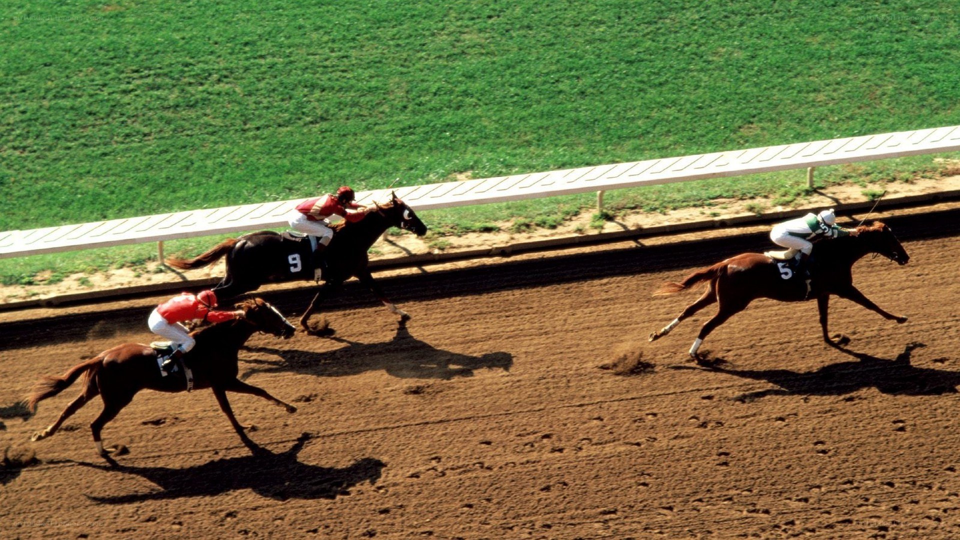 Horses racing on a track