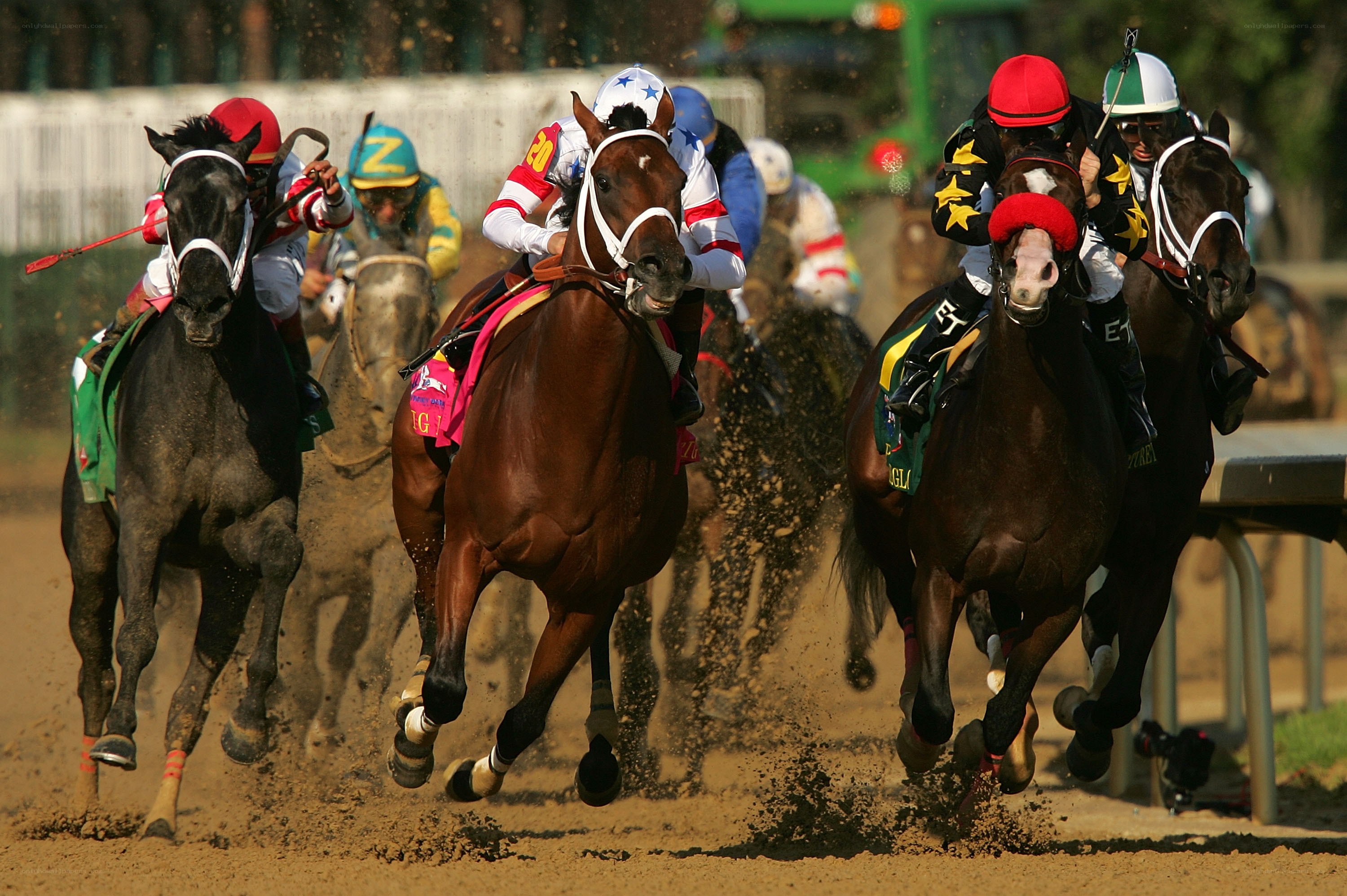 Horses racing on dirt track