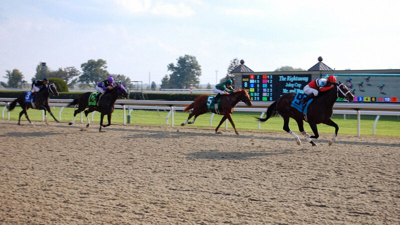 Horses Racing on Track — Brown, Competitive
