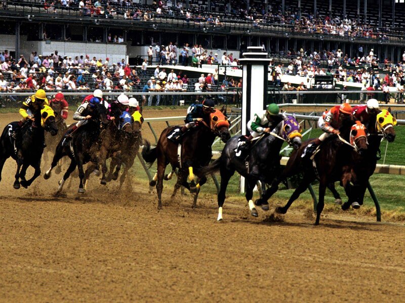 Horses Racing on Track — Brown, Dynamic