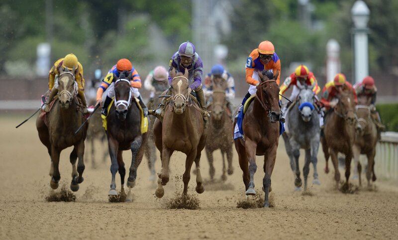 Horses Racing on Track — Brown, Intense