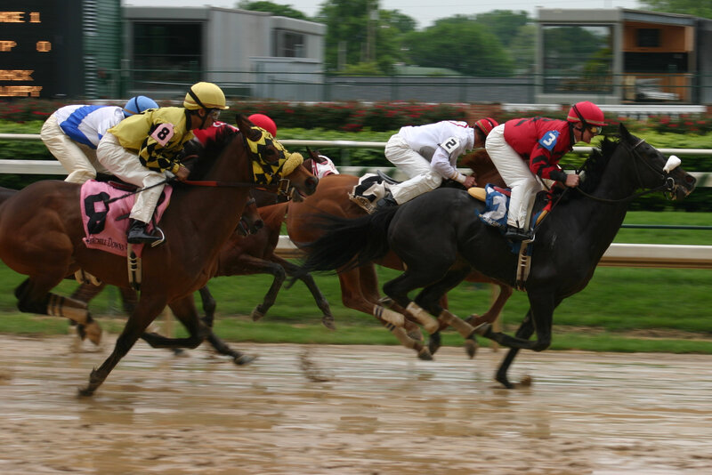 Horses Racing on Track — Brown