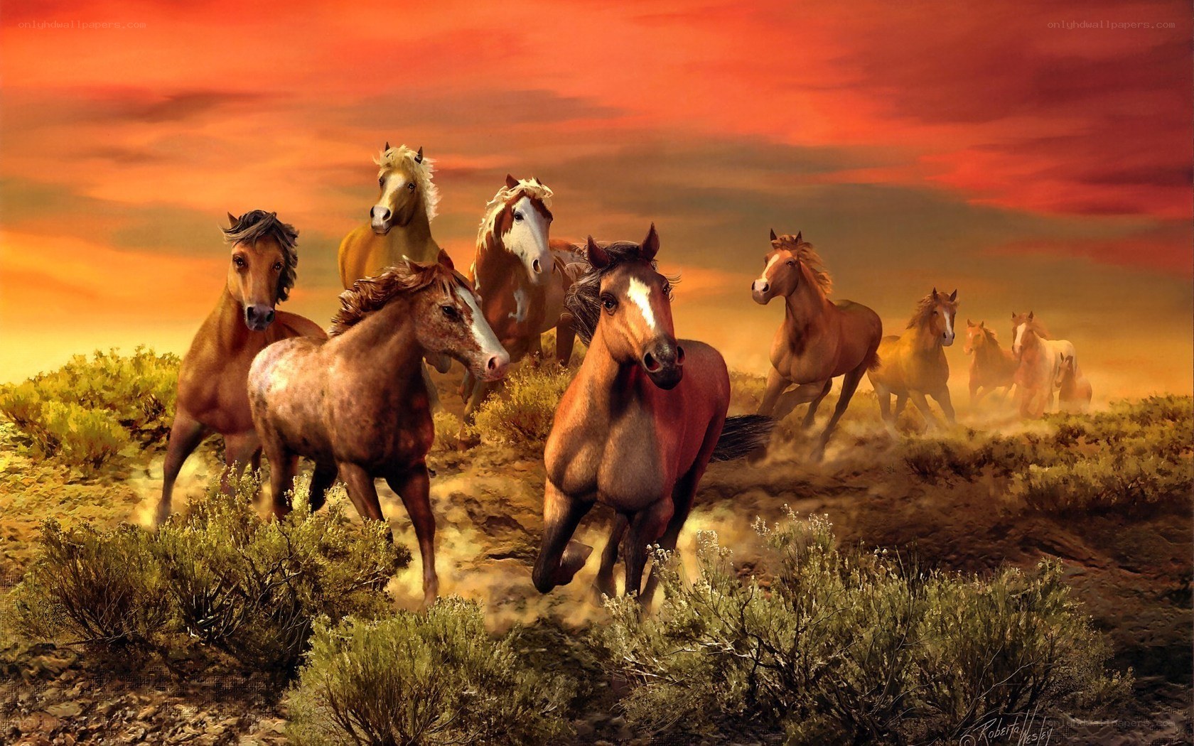 Horses running at sunset