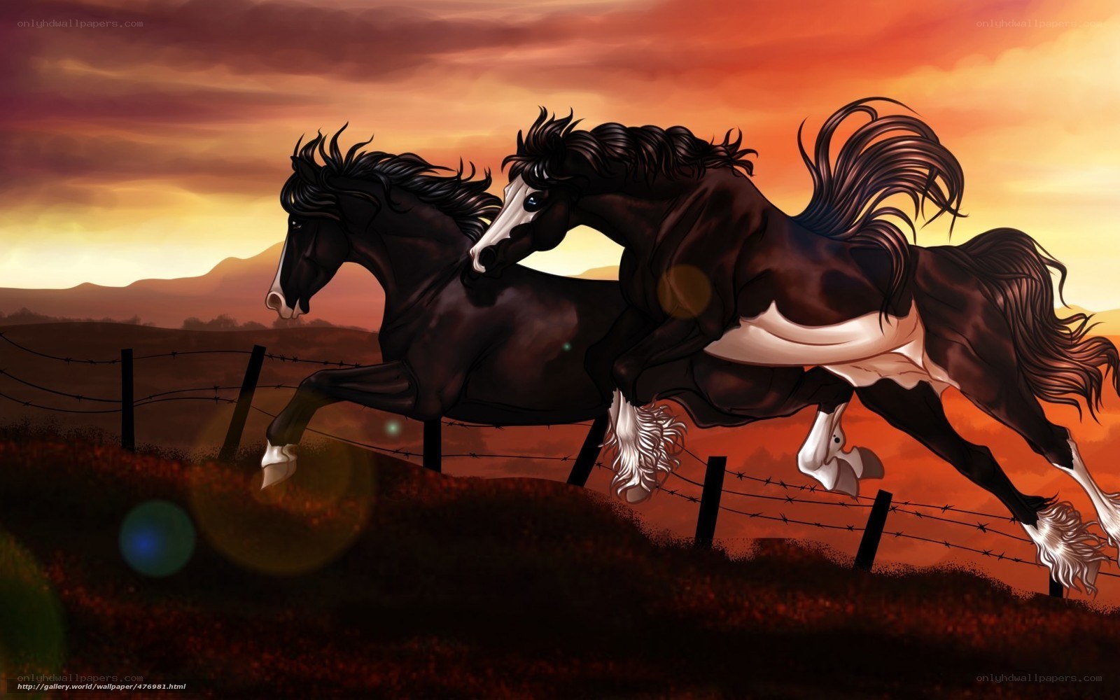 Horses running at sunset