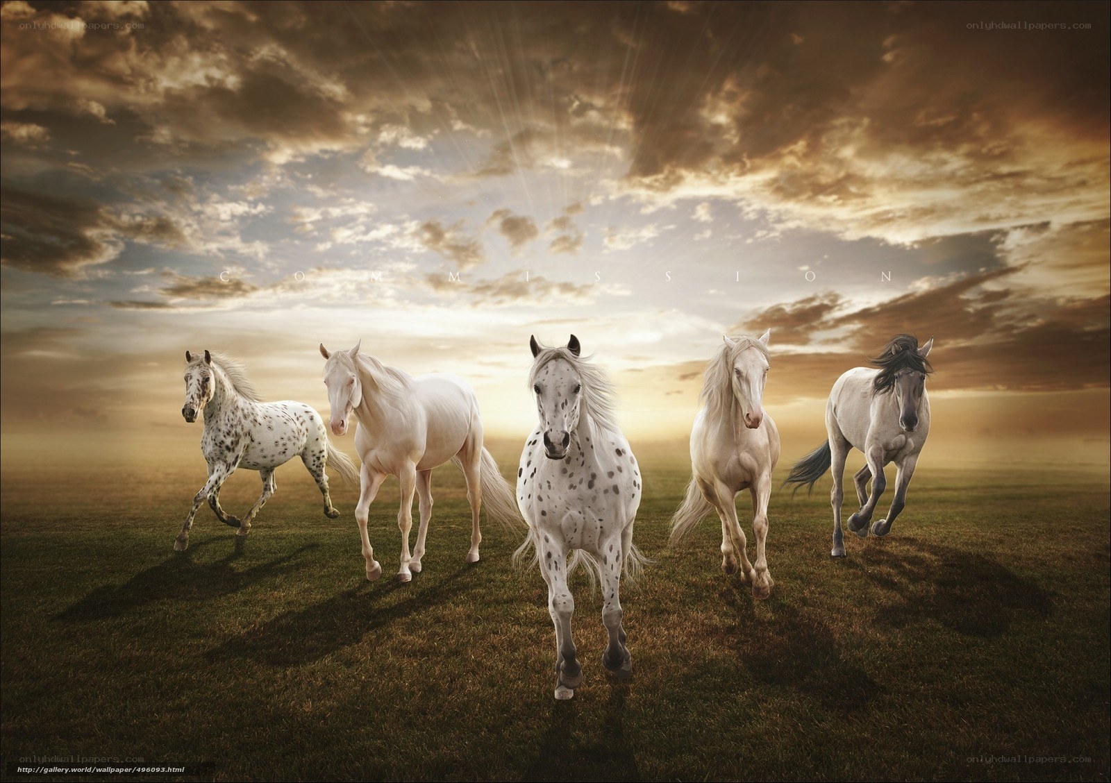 Horses running at sunset