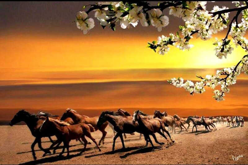 Horses Running at Sunset — Orange, Dynamic