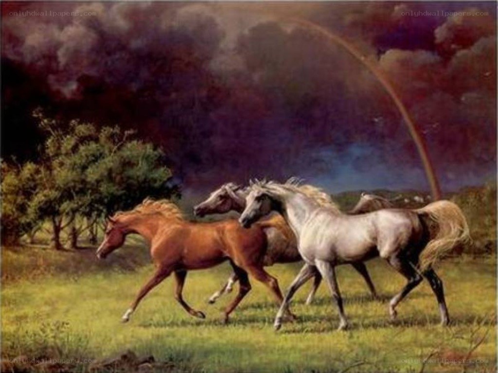 Horses running in a field