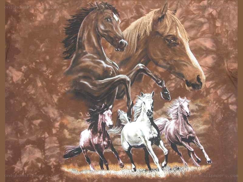 horses running in a field
