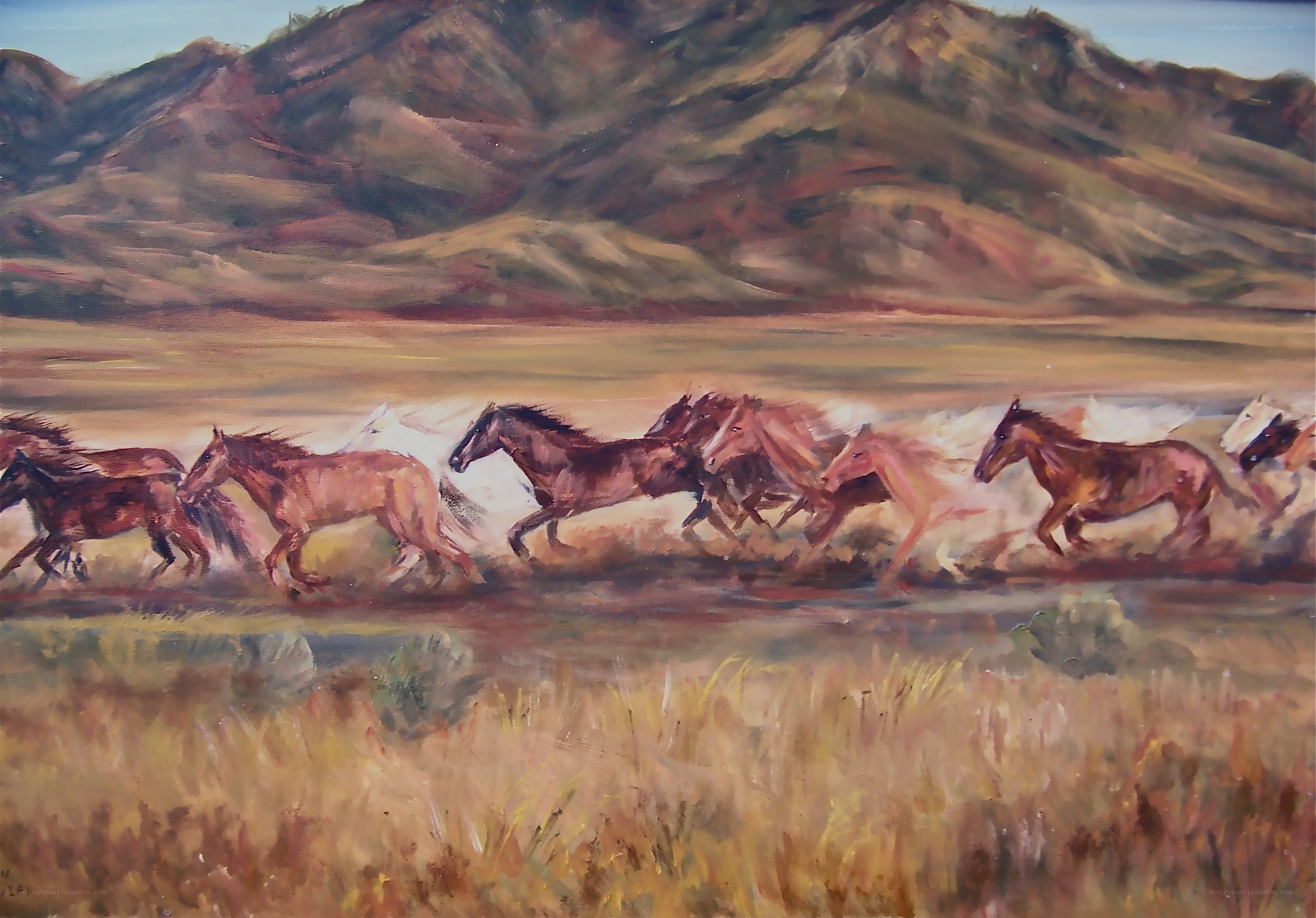 Horses running in a field