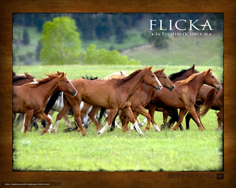 horses running in a field