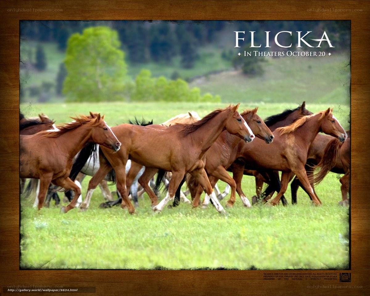 horses running in a field