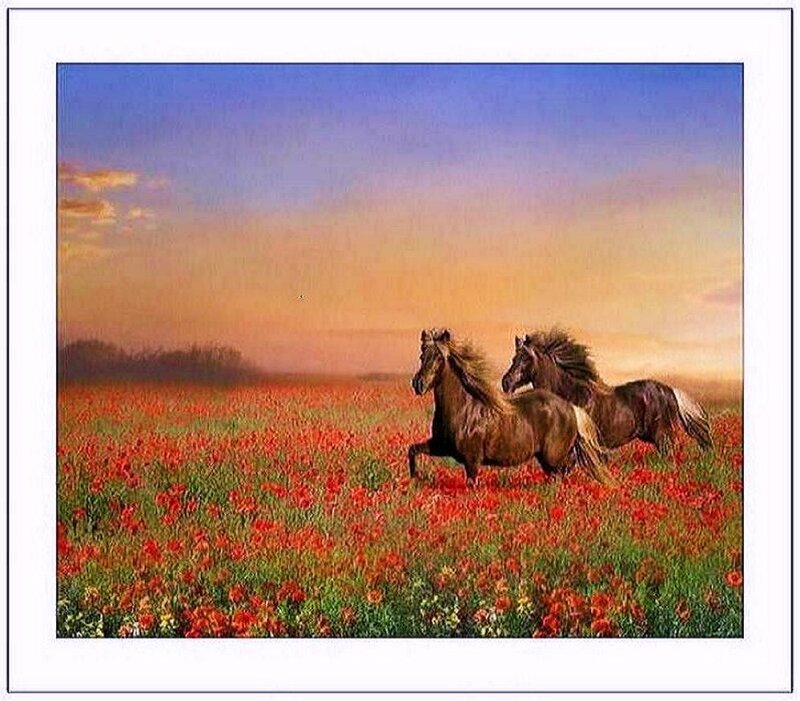 Horses running in a flower field