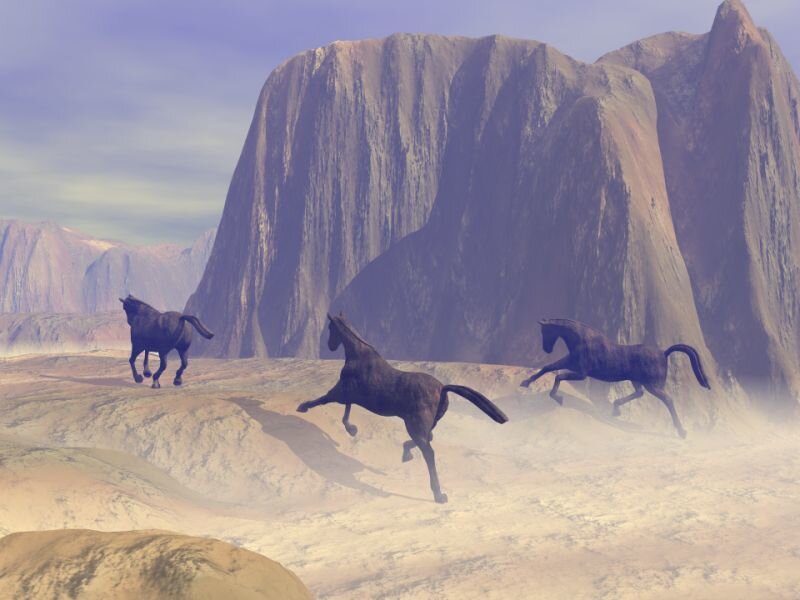 horses running in desert
