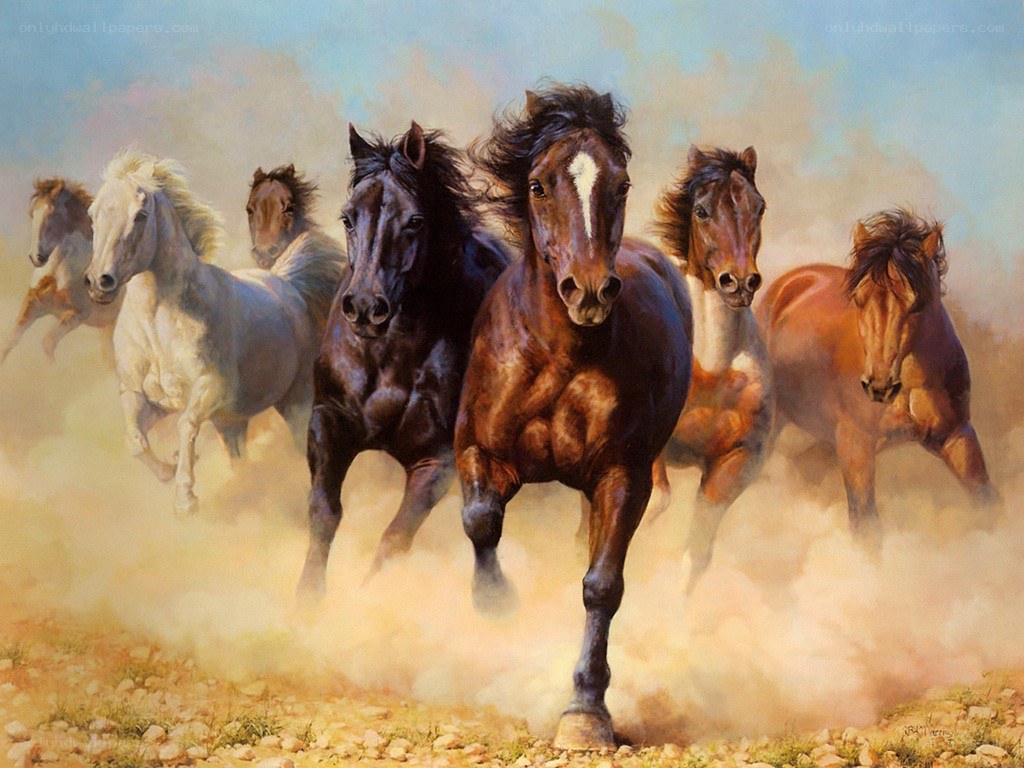 Horses running in dust