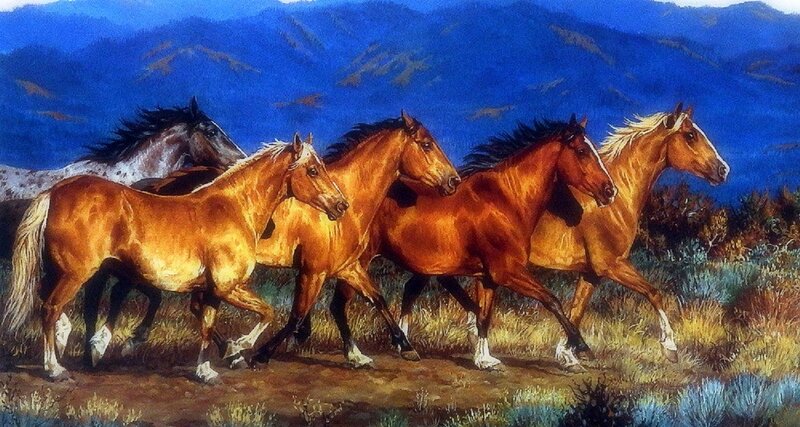 Horses Running in Field — Blue, Dynamic