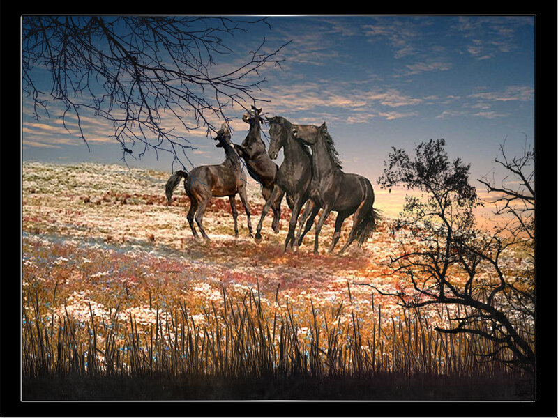 Horses Running in Field — Blue