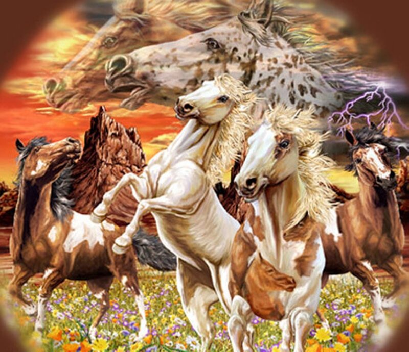 Horses Running in Field — Orange