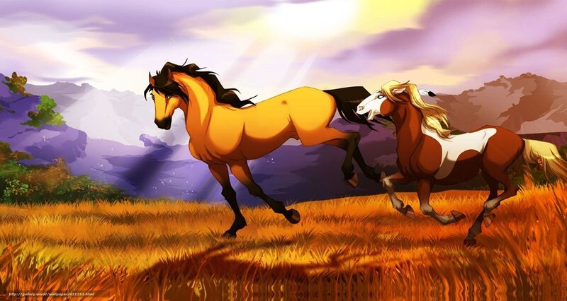 horses running in field