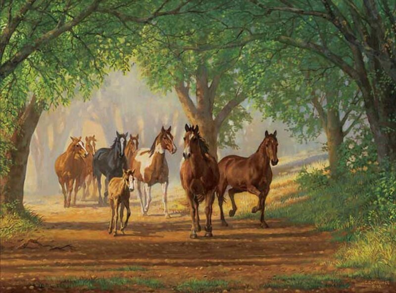 Horses Running in Forest — Brown