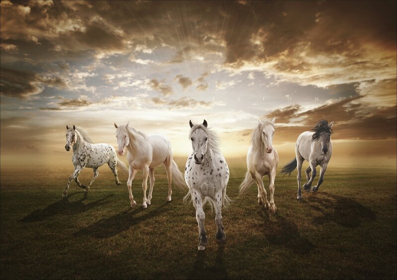 Horses running in golden field