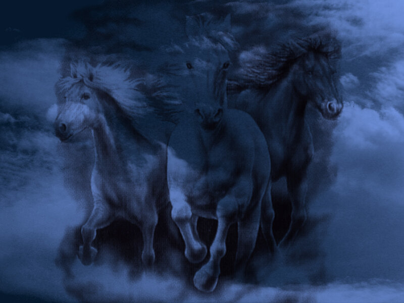 horses running in mist