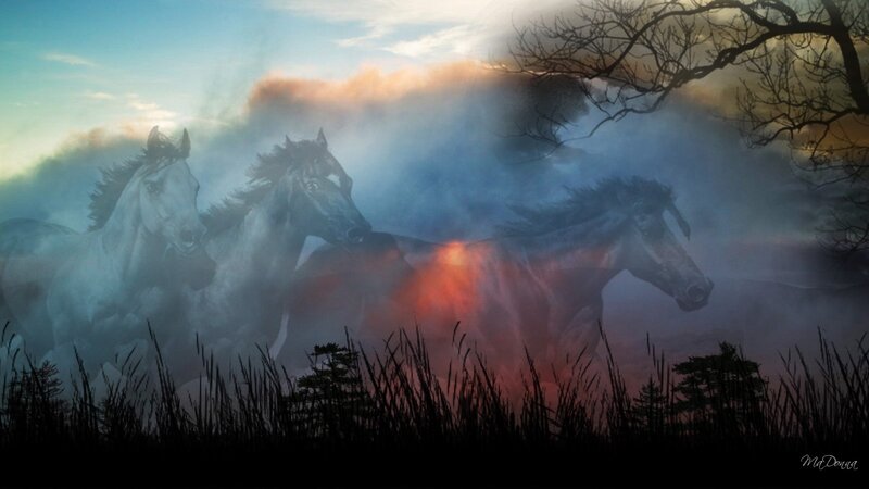 Horses Running in Mist