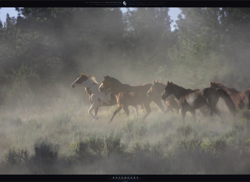 horses running in mist
