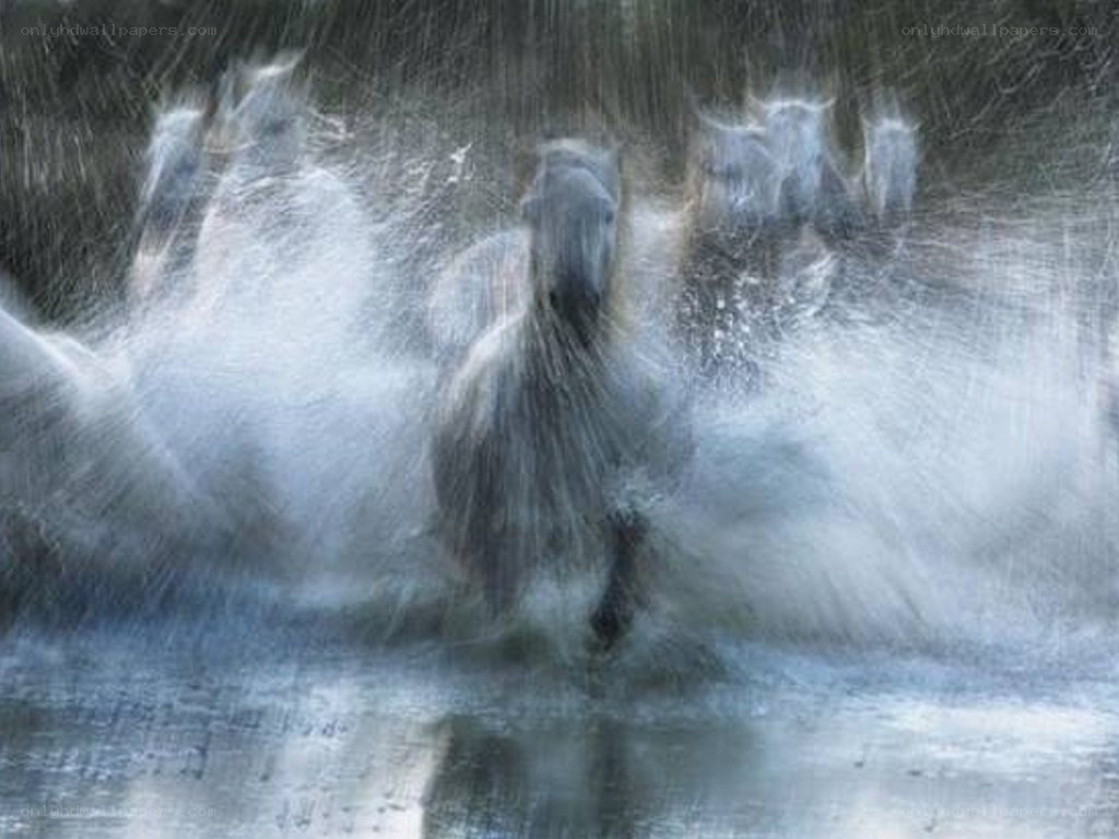 horses running in rain