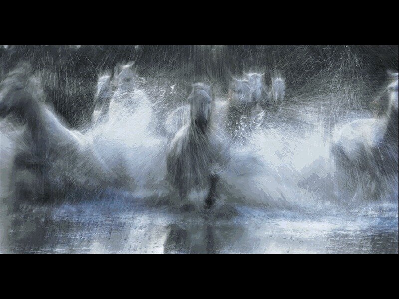 horses running in rain