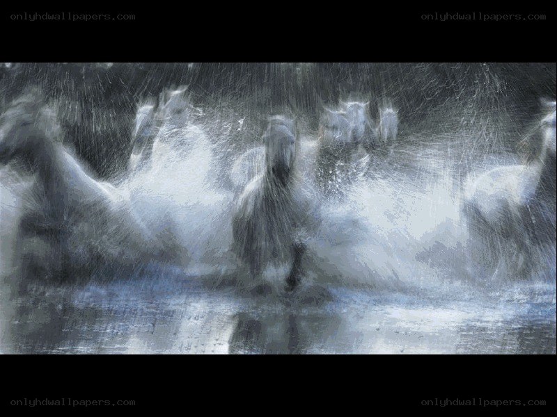 horses running in rain